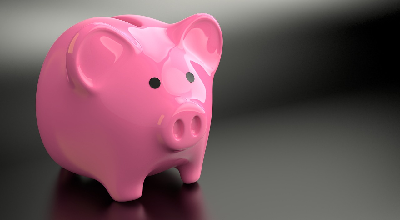 savings account piggy bank money