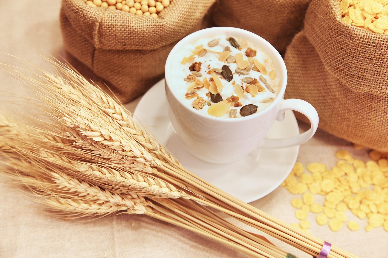 healthy bones nutrition elderly