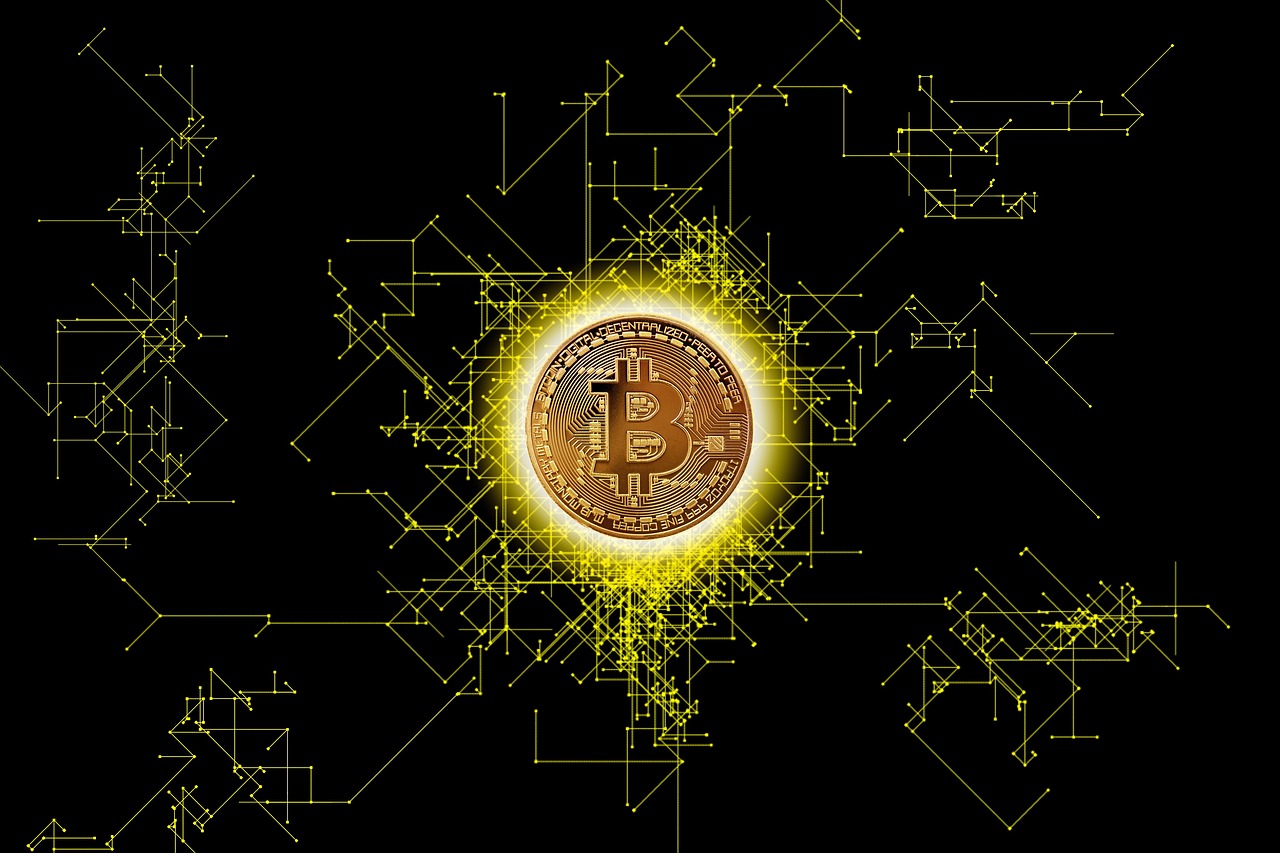 bitcoin investment ledger